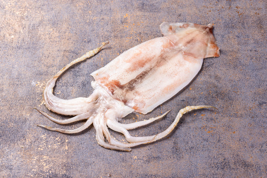 スルメイカ 瞬間冷凍 一夜干し 大サイズ 焼き用 3枚入 (和歌山県すさみ町産)