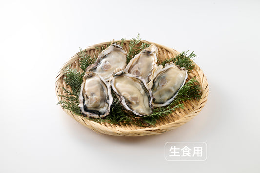生食用牡蠣 (広島県産)