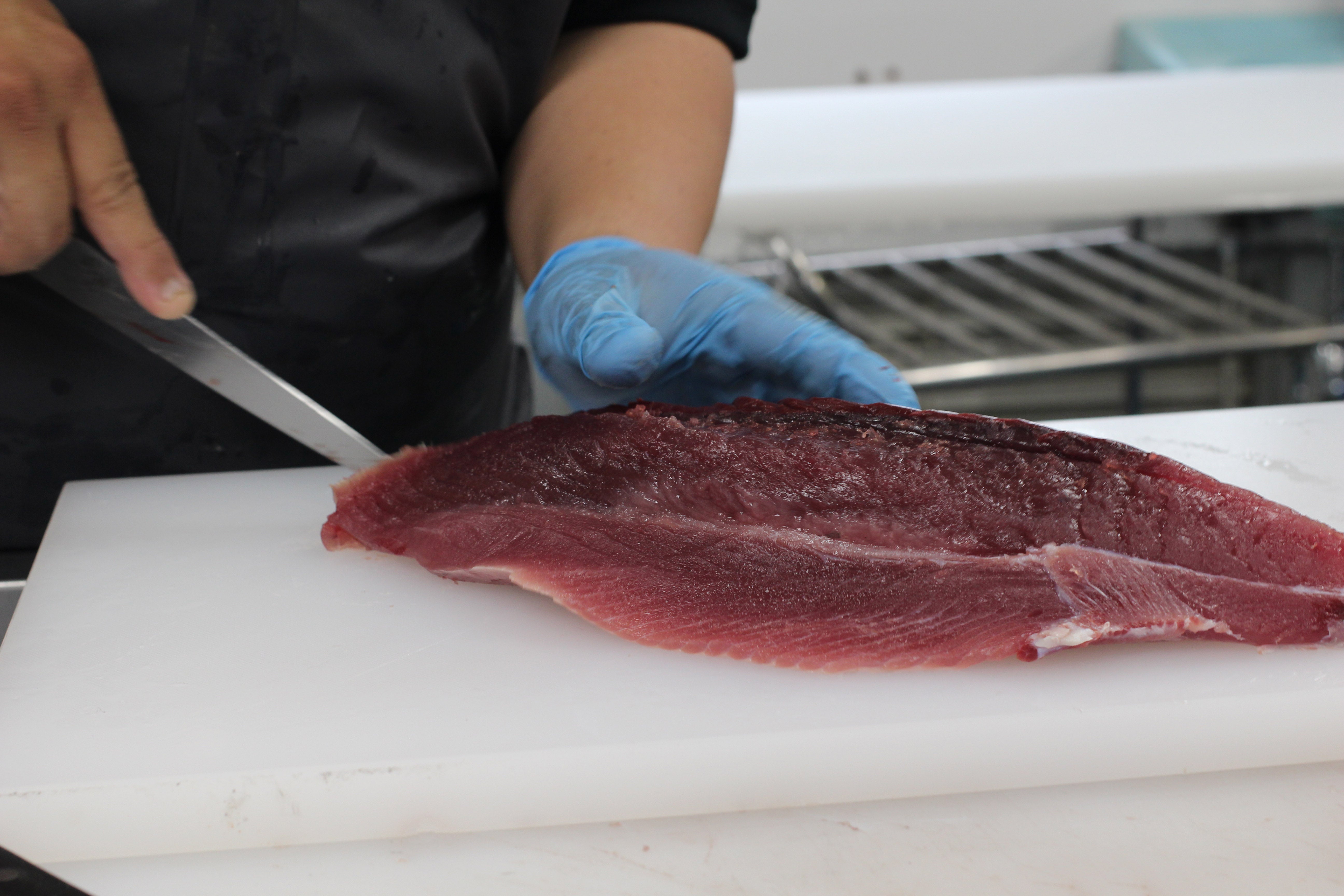 カツオさま専用 250516trkto050.jpg